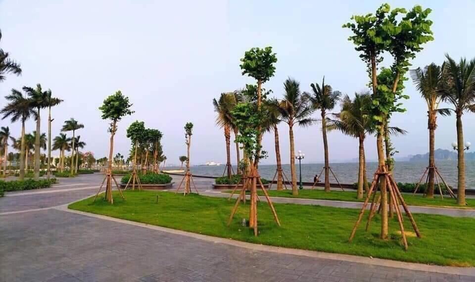 Sonny Homestay 2 -Can Lien Ke 5Pn -Khu Greenbayvillage - Duong Hoang Quoc Viet -Trung Tam Kdl Bai Chay Халонг Экстерьер фото